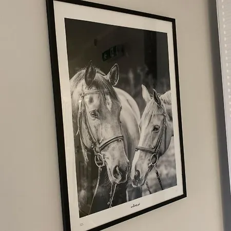 Gold Hill Karpacz -milkow Homestay Milkow (Lower Silesia)