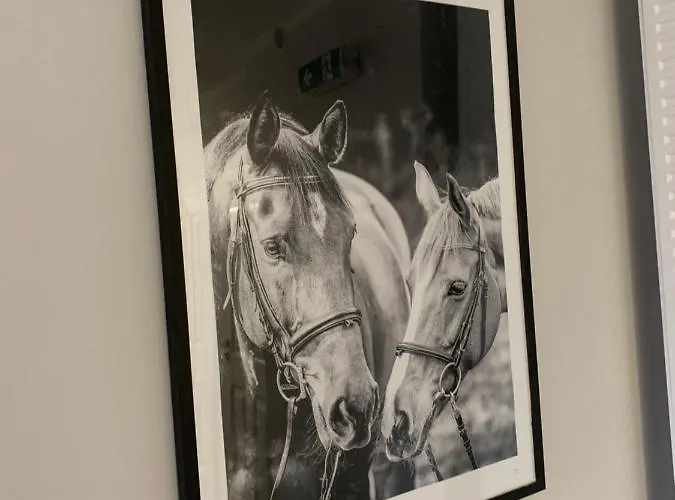 Gold Hill Karpacz -milkow 홈스테이 Miłków