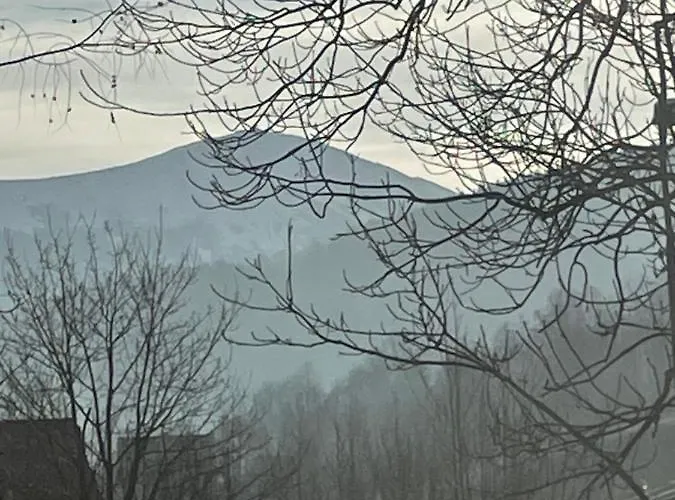 홈스테이 Gold Hill Karpacz -milkow